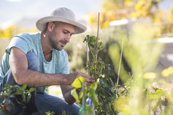 Les dernières tendances en matière de décoration pour votre cuisine